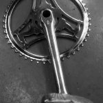 Raleigh chain ring