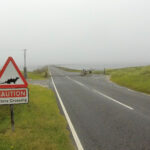 Causeway with 'otters crossing' sign, altered to look like a dinosaur/komodo dragon